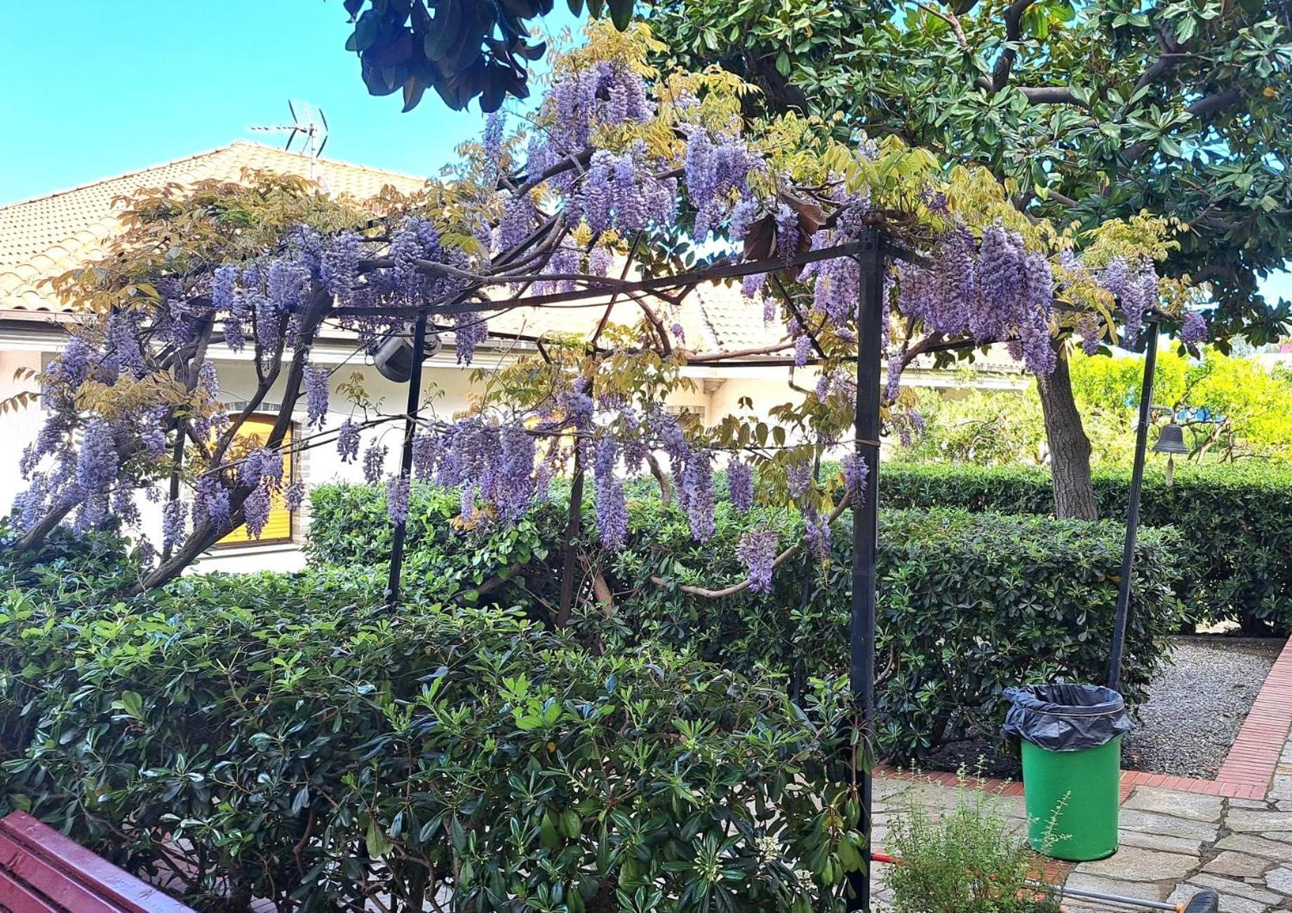 Villa Casa Gazzano Imperia Exterior foto